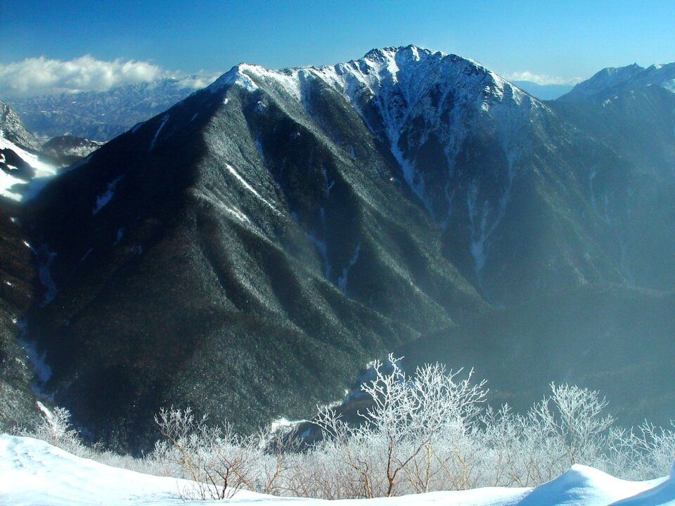 Snow ice trees photo