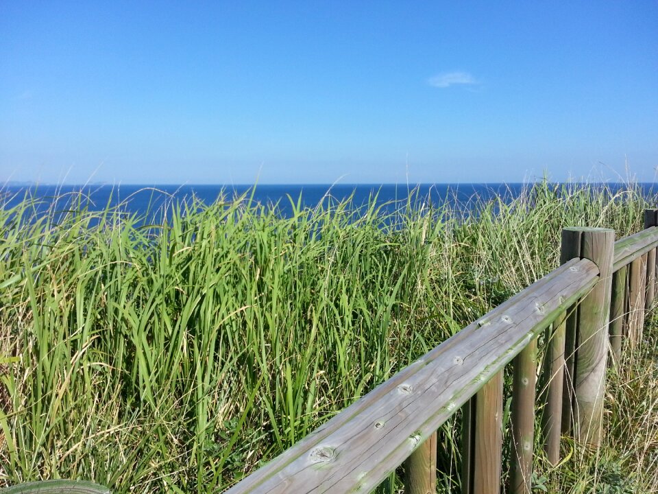 Jeju jeju island olle gill