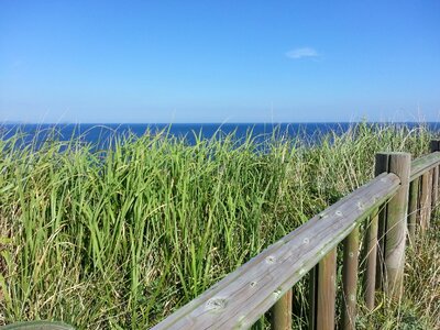 Jeju jeju island olle gill