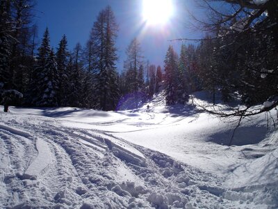 Skitouren goers val d'ultimo south tyrol photo