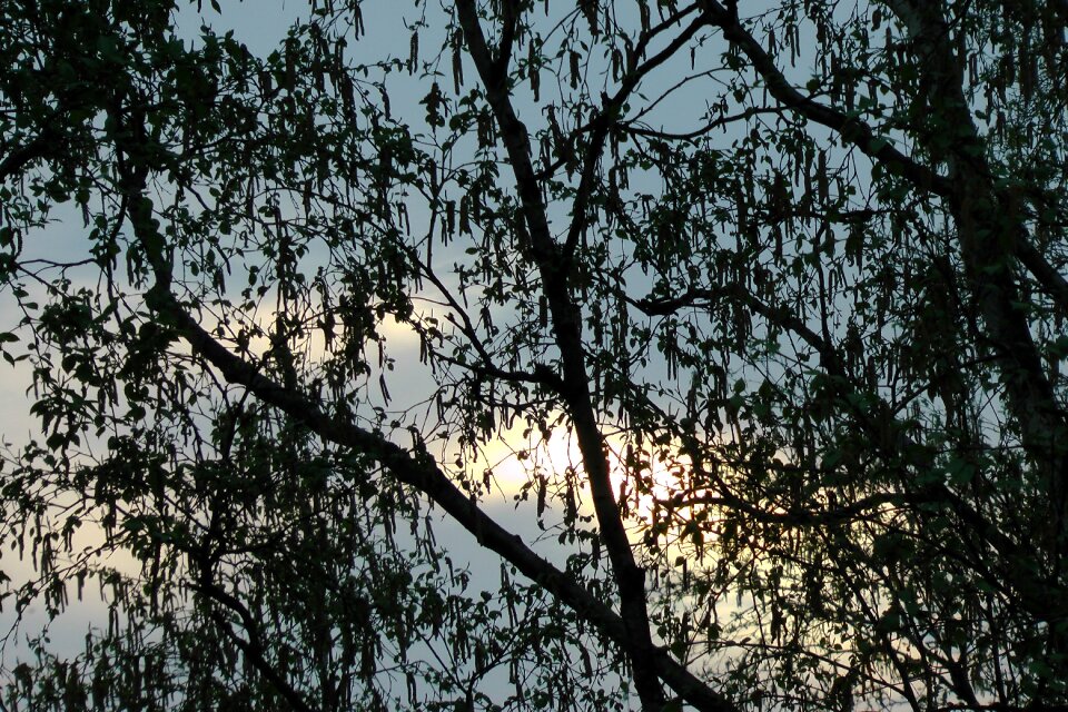 Sunset sky twilight