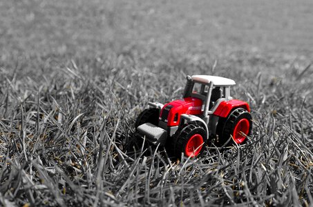 Model grass season