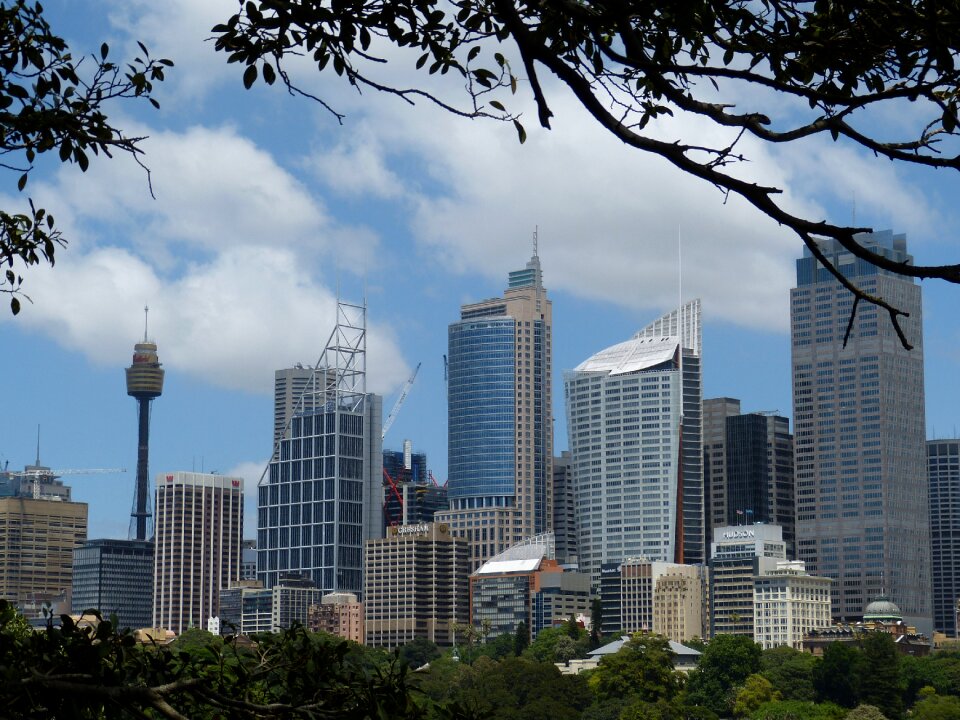 Skyscraper skyscrapers houses