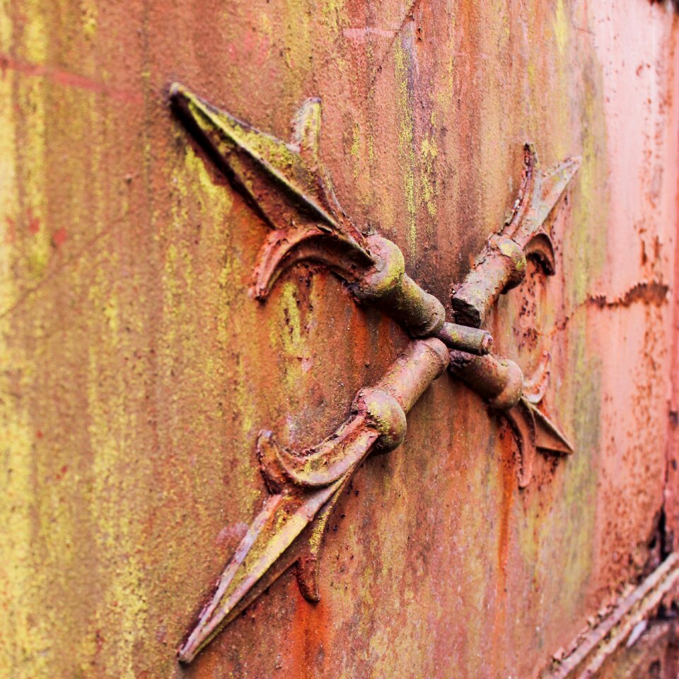 Iron ornament lilies