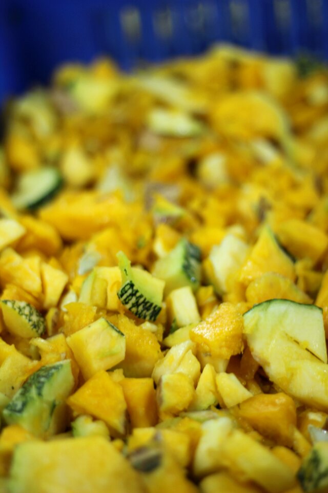 Yellow gourd indian
