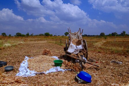 India lush agriculture