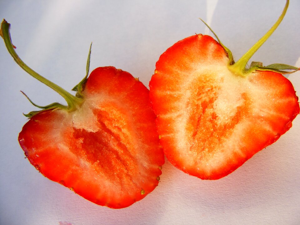 Two slices fruits