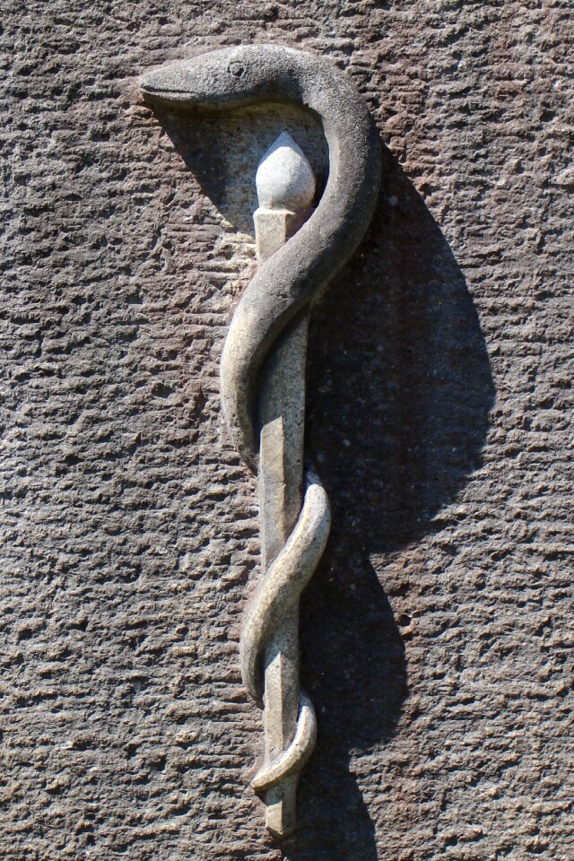Snake äskulapstab asclepius staff