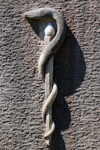 Snake äskulapstab asclepius staff