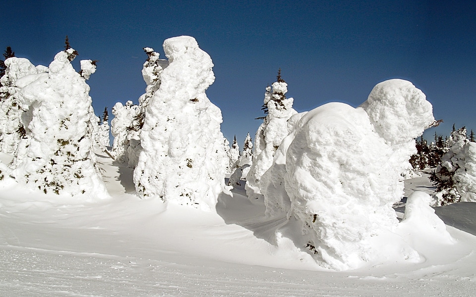 Snow ghosts sun peaks canada