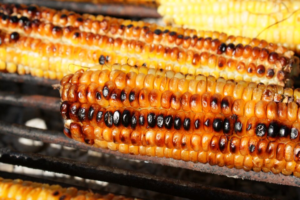 Grill grilled healthy