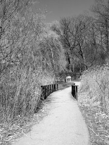 Trail bridge path