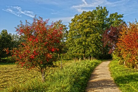 Spring landscape promenade