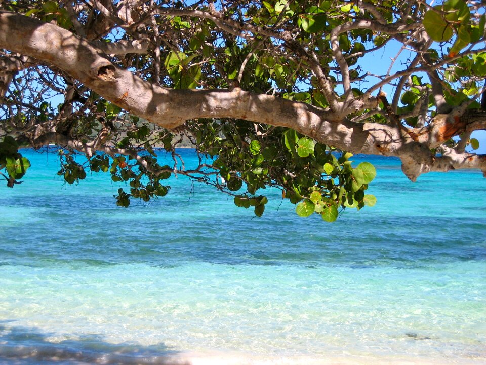 Caribbean sea beach