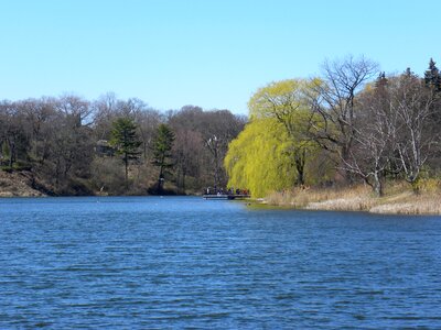 Park landscape wilderness photo