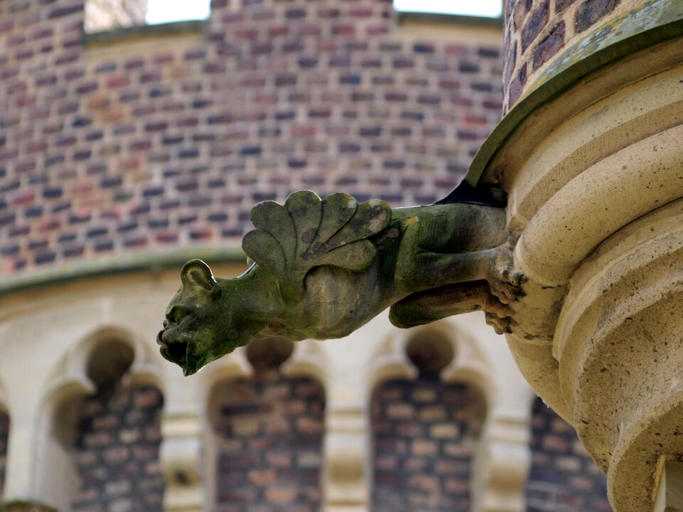 Castle gargoyle dragon