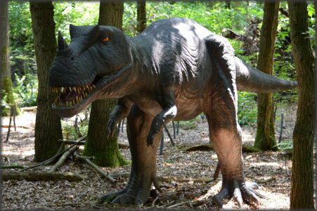Amersfoort predators herbivores