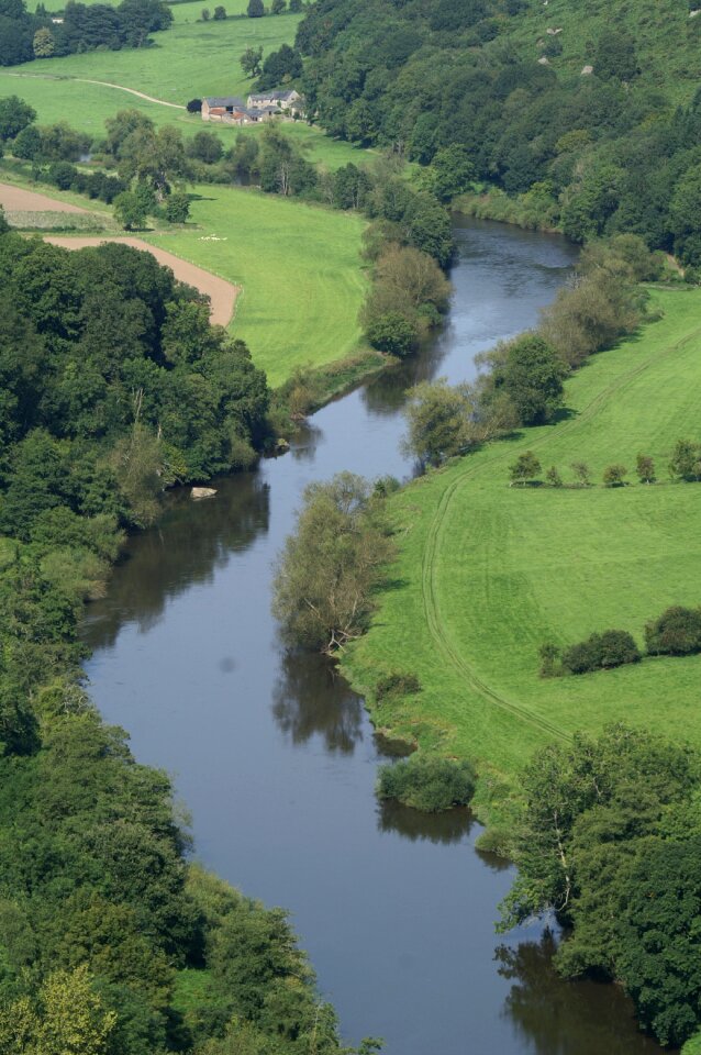 Bird's eye view river green