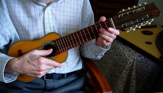 Music musical musician charango player