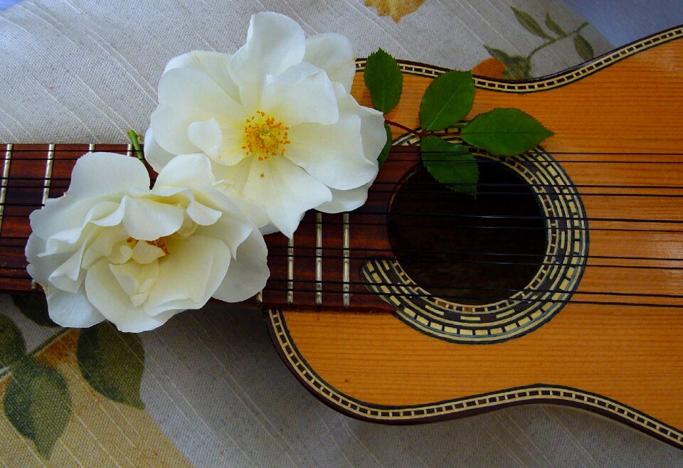 Music harmony musician