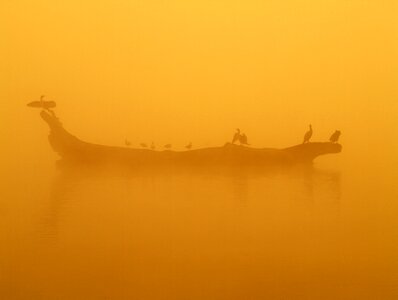 The fog orange climate photo