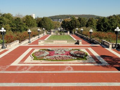 Capitol plants flowers