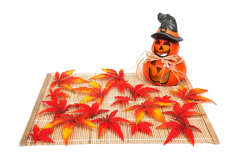 Autumn decoration fall