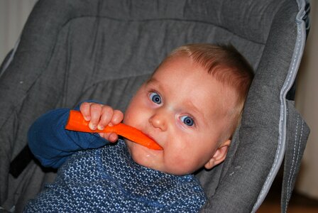Baby food root