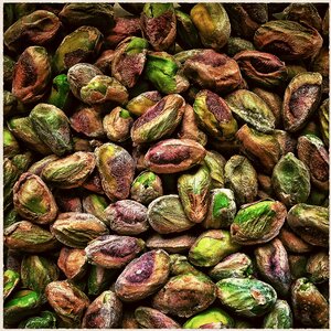 Food nutrition feed