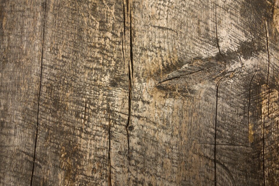 Old texture panels photo