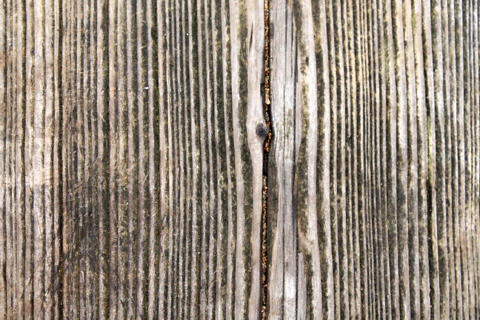 Grain fibers texture