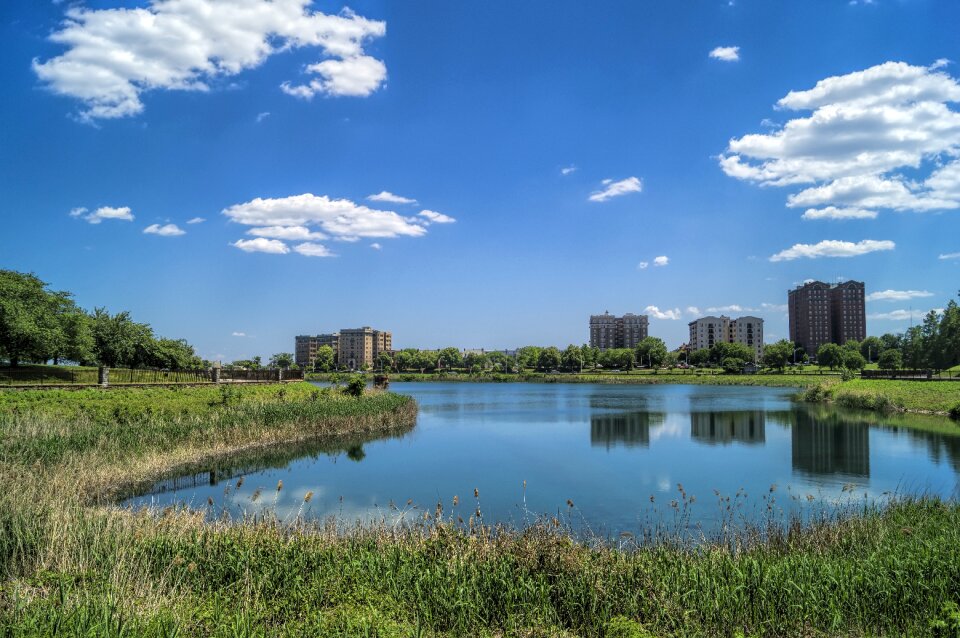 Lake spring shoreline