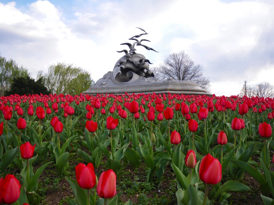 Clouds flowers monument