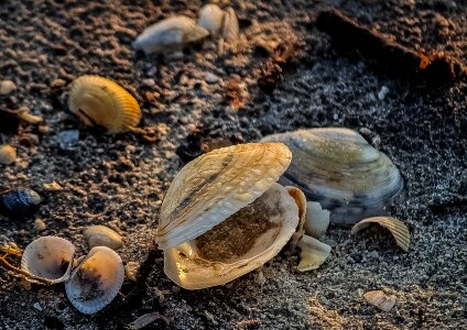 Nature close-up sand photo