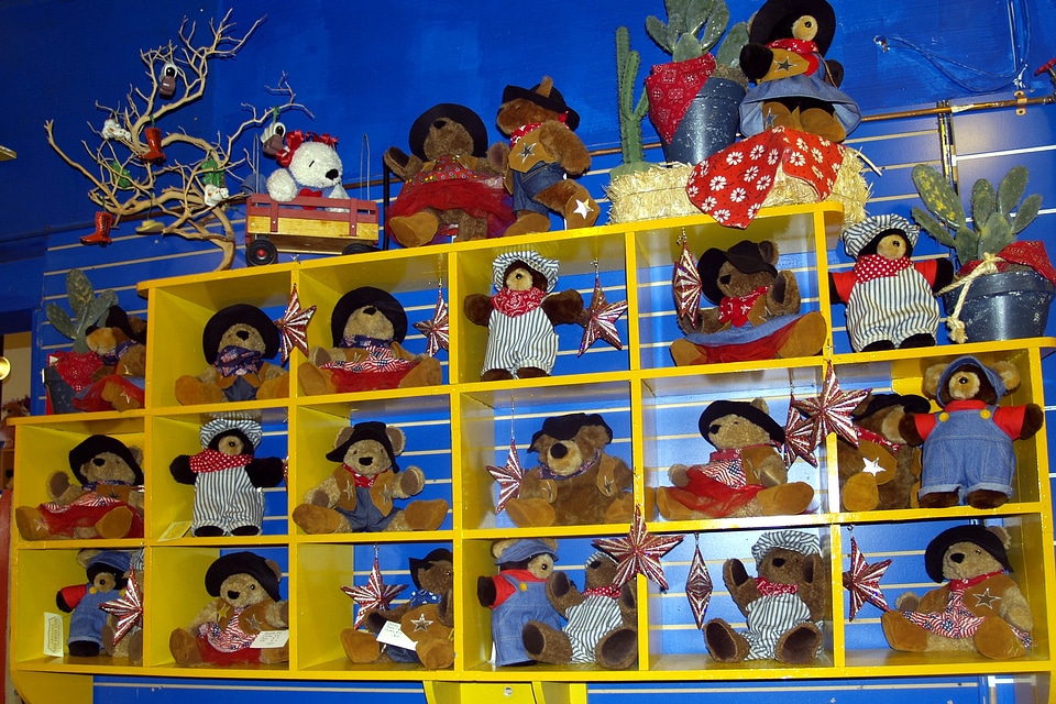Teddy bears teddy toy