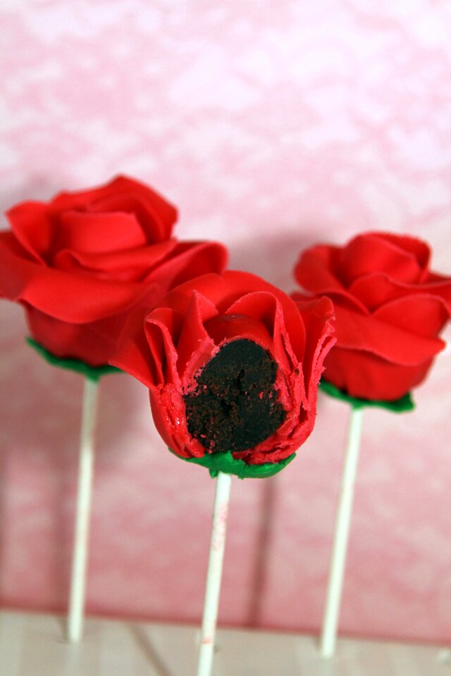Roses red chocolate