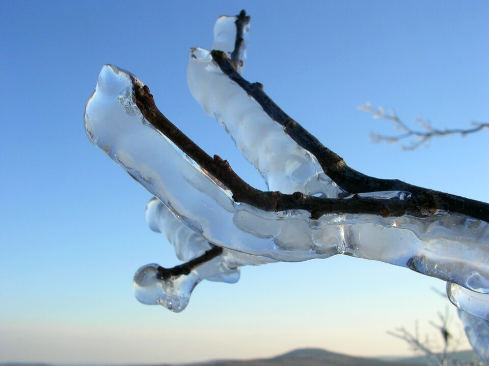 Cold coldsnap frost