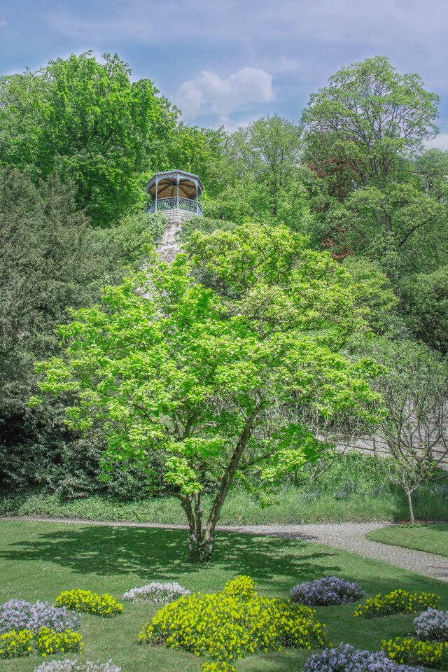 Magic tree garden city park