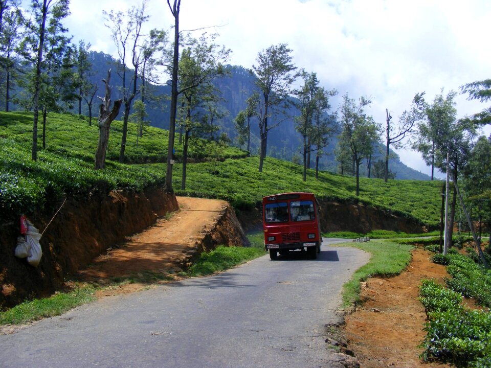 Automobile driving roadway