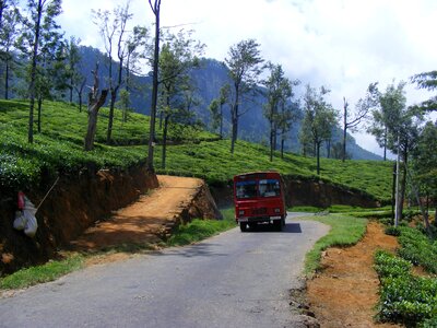Automobile driving roadway