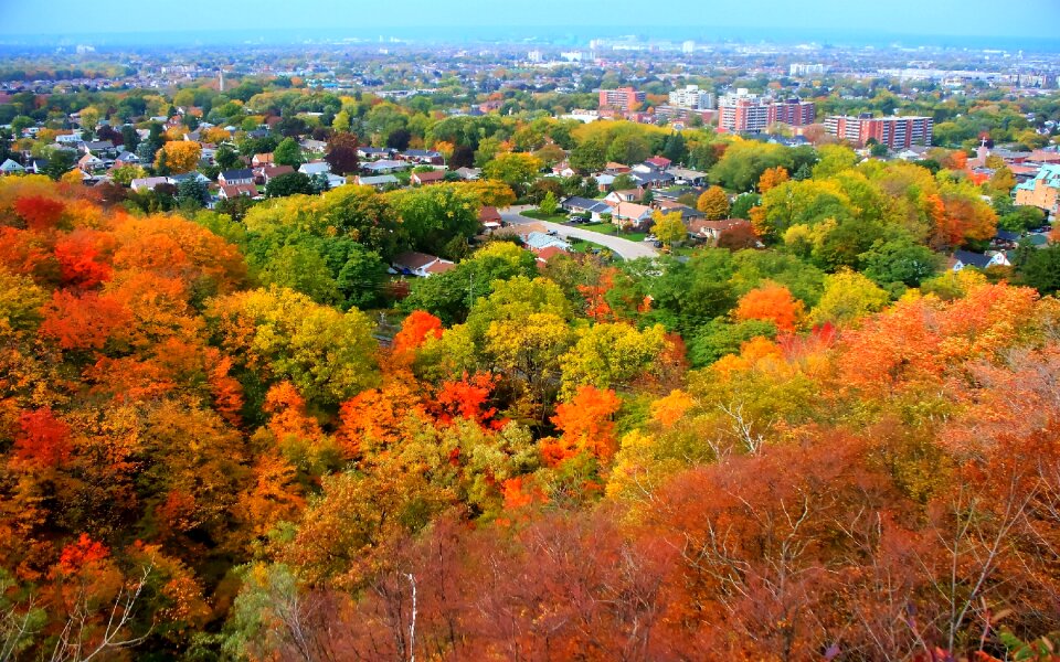 Seasons colorful leaves
