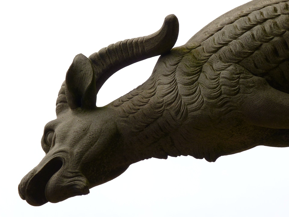 Gargoyle mythical creatures münster
