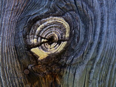 Node concentric old