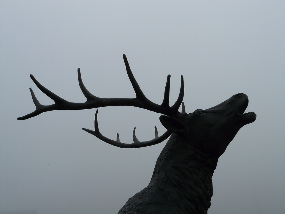 Red deer bronze statue hirsch