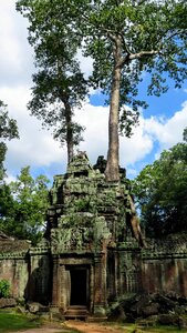 Ta prohm history asia