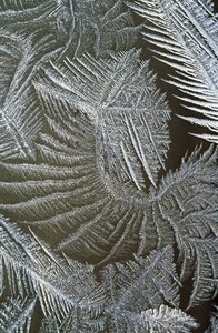 Eiskristalle frozen winter