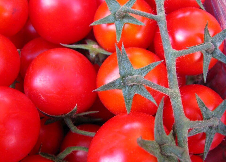 Vegetarian raw nutrition