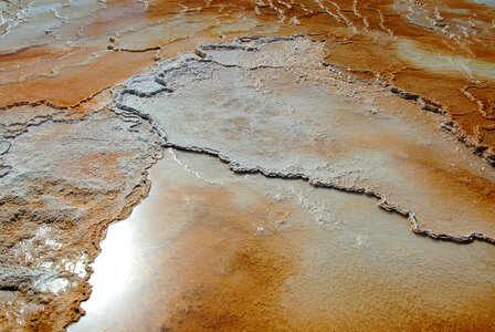 Thermal springs yellowstone wyoming photo