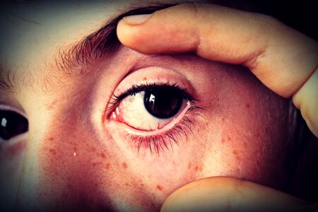 Eyes eyebrow child