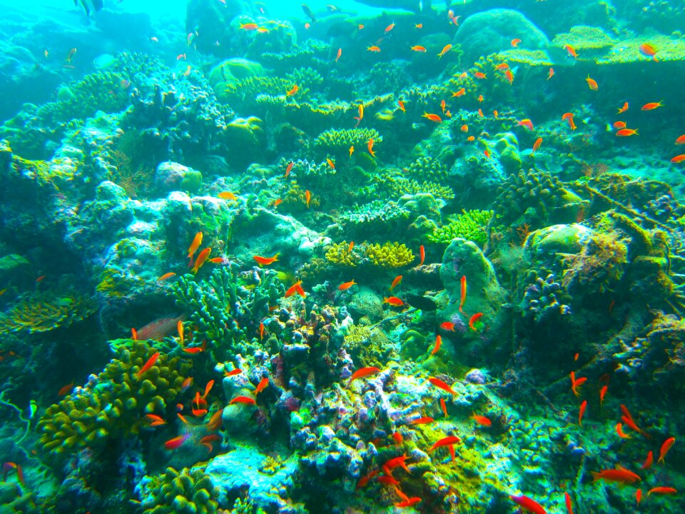 Ocean diving suit deep diving